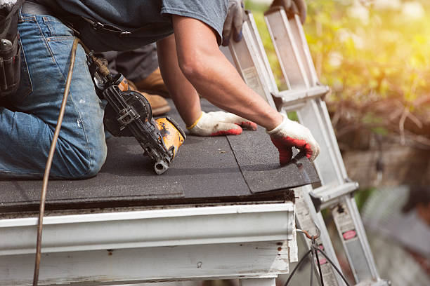 Gutter Installation and Roofing in Palm Valley, FL